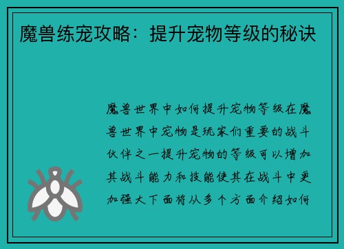 魔兽练宠攻略：提升宠物等级的秘诀